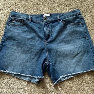 Denim Blue Women's Shorts